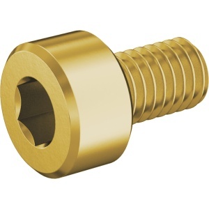 Brass Socket Head Screw M3 x 0.50 mm Thread size, 5 mm Long图3